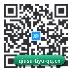 iOS 苹果生态原生版 二维码